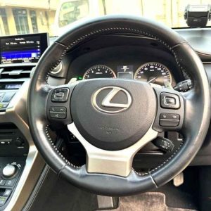 Vehicle Rental