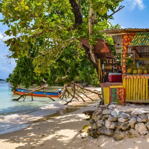 Tours & Excursions