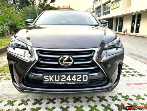Lexus 1 (4)