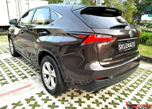 Lexus 1 (6)