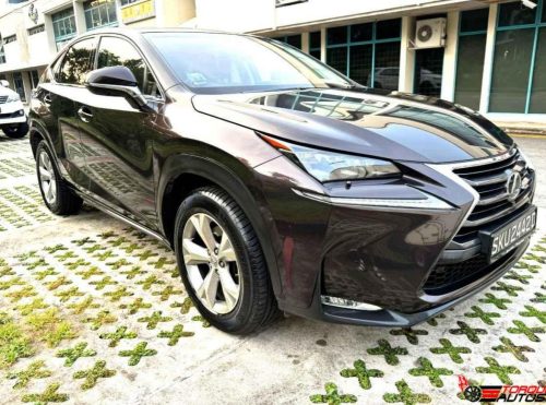 Lexus 1 (7)