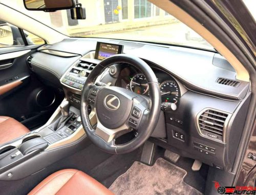 Lexus 1